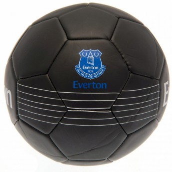 FC Everton nogometna lopta Skill Ball RT - size 5