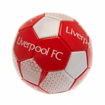 FC Liverpool nogometna mini lopta Skill Ball VT - size 1