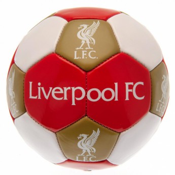 FC Liverpool nogometni set water bottle - hand pump - size 3 ball