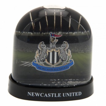Newcastle United snježna kupola Stadium Snow Dome