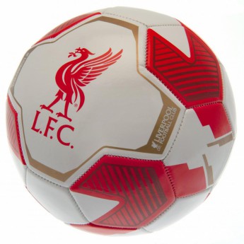 FC Liverpool nogometna lopta RW - size 5