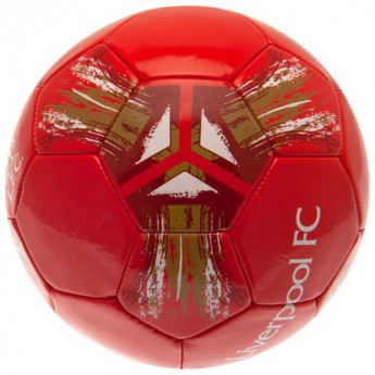 FC Liverpool nogometna lopta SP 2021 - size 5