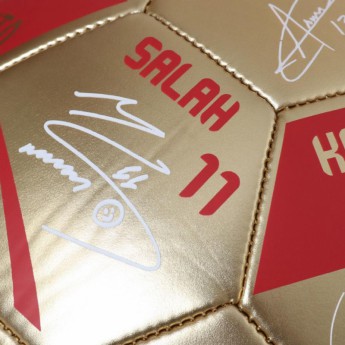 FC Liverpool nogometna lopta Premier League Champions Gold Signature Football - Size 5