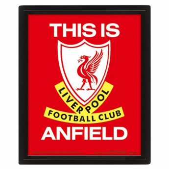 FC Liverpool slika u okviru 3D Picture