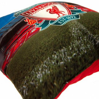 FC Liverpool jastuk SD