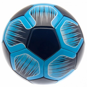 Tottenham Hotspur nogometna lopta football ns