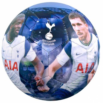 Tottenham Hotspur nogometna lopta players photo football