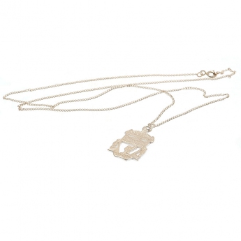 FC Liverpool ogrlica s privjeskom Sterling Silver Pendant & Chain CR Small