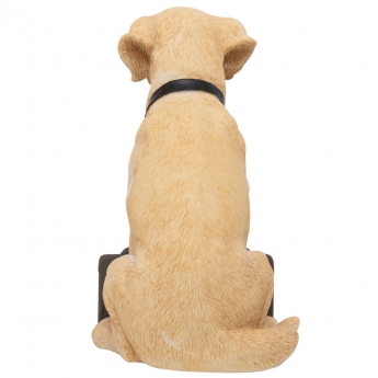 Newcastle United figurica labrador gnome