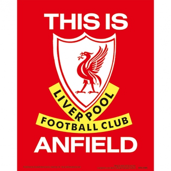 FC Liverpool 3D slika 3D Print