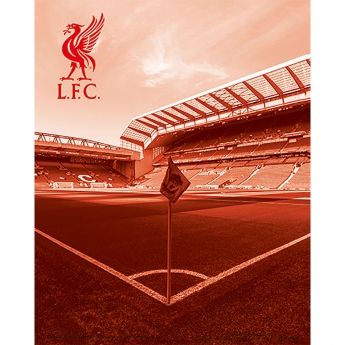 FC Liverpool 3D slika 3D Print