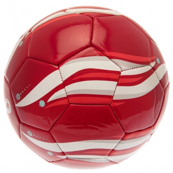 Nogometne reprezentacije nogometna lopta 2022 Phoenix Football size 5