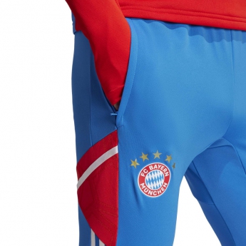 Bayern München muške hlače Training royal