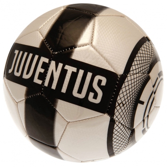 Juventus Torino nogometna lopta Football PR - Size 5