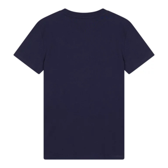 Paris Saint Germain muška majica Logo mozaic