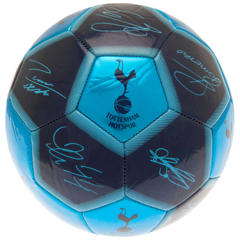 Tottenham Hotspur nogometna lopta Sig 26 Football - Size 5
