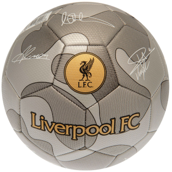 FC Liverpool nogometna lopta Camo Sig Football - Size 5