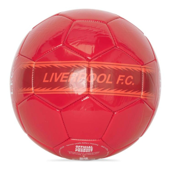 FC Liverpool nogometna lopta ball Liver Bird
