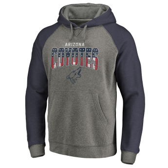 Arizona Coyotes muška majica s kapuljačom grey Freedom Tri-Blend Raglan