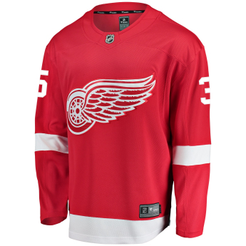 Detroit Red Wings hokejaški dres #35 Jimmy Howard Breakaway Alternate Jersey