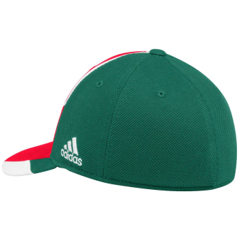 Minnesota Wild kapa za bejzbol Adidas Echo Flex