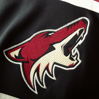 Arizona Coyotes dječja majica s kapuljačom Asset Lace-Up Pullover Hoodie
