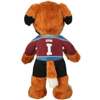 Colorado Avalanche plišana maskota Bernie #1