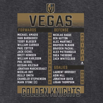 Vegas Golden Knights muška majica 2023 Stanley Cup Champions Roster Heather Charcoal