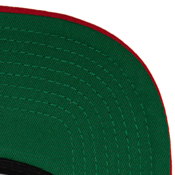 Washington Capitals šilterica ravnog oboda NHL Team 2 Tone 2.0 Pro Snapback
