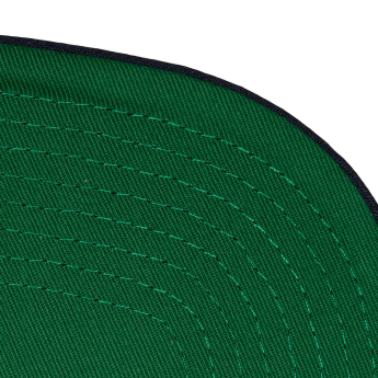 Hartford Whalers šilterica ravnog oboda Retro Sport Snapback Vintage