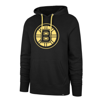 Boston Bruins muška majica s kapuljačom Imprint Helix Pullover Hood dark
