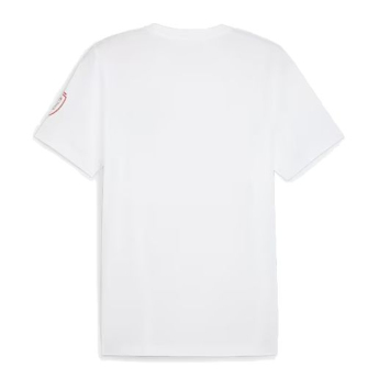 Nogometne reprezentacije muška majica Czech republic Ftblicons Tee white