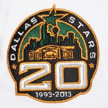 Dallas Stars kapa za bejzbol Tail Sweep Pro Snapback Vintage
