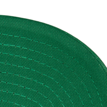 Dallas Stars kapa za bejzbol Tail Sweep Pro Snapback Vintage