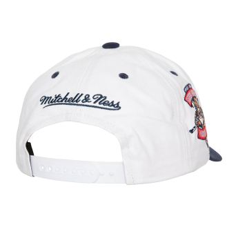 Florida Panthers kapa za bejzbol Tail Sweep Pro Snapback Vintage