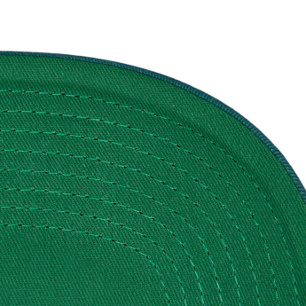 San Jose Sharks kapa za bejzbol Tail Sweep Pro Snapback Vintage