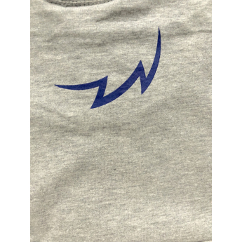 Hokejaške reprezentacije ženska majica grey Czech Ice Hockey logo lion