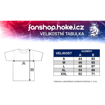 Hokejaške reprezentacije ženska majica grey Czech Ice Hockey logo lion