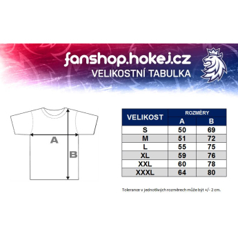 Hokejaške reprezentacije muška majica grey Czech Ice Hockey logo EST 1908