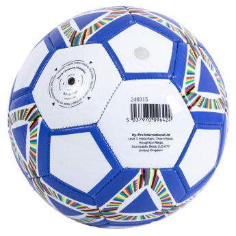 SP 2026 (World Cup) nogometna lopta Blue size - 5
