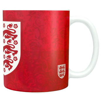 Nogometne reprezentacije šalica England FA Lionesses