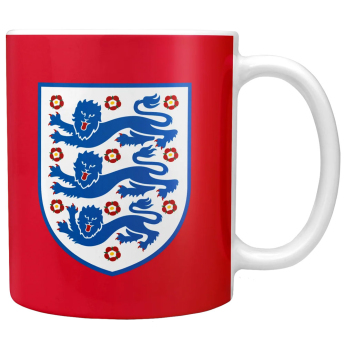 Nogometne reprezentacije šalica England FA Worlds Best Dad