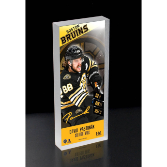 Boston Bruins slika u okviru David Pastrňák picture