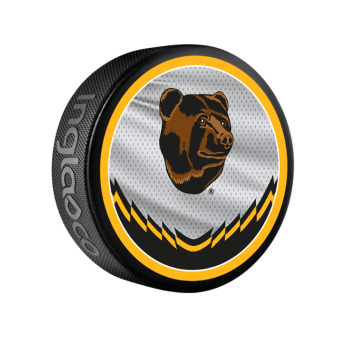 Boston Bruins pak reverse retro jersey souvenir collector hockey puck