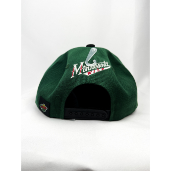 Minnesota Wild dječja flat šilterica Life Style Graphic Snapback