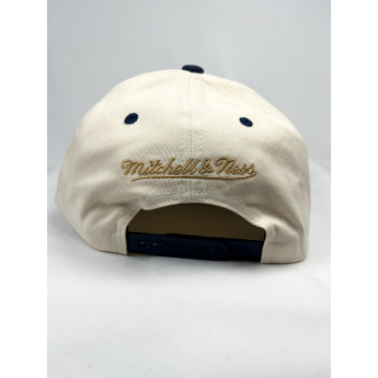 Florida Panthers kapa za bejzbol Horizon Pro Snapback