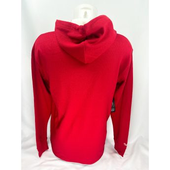 Detroit Red Wings muška majica s kapuljačom Thermal Lightweight Hoodie Current Logo