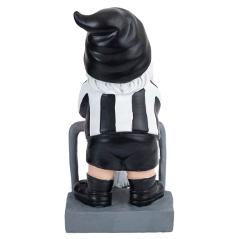Newcastle United patuljak Terrace