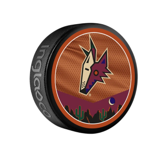 Arizona Coyotes pak reverse retro jersey souvenir collector hockey puck