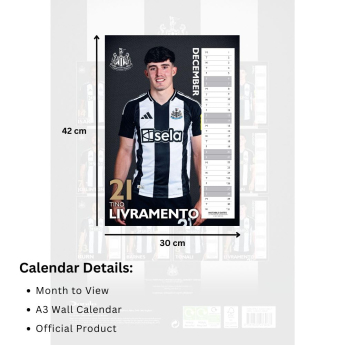 Newcastle United kalendar 2025